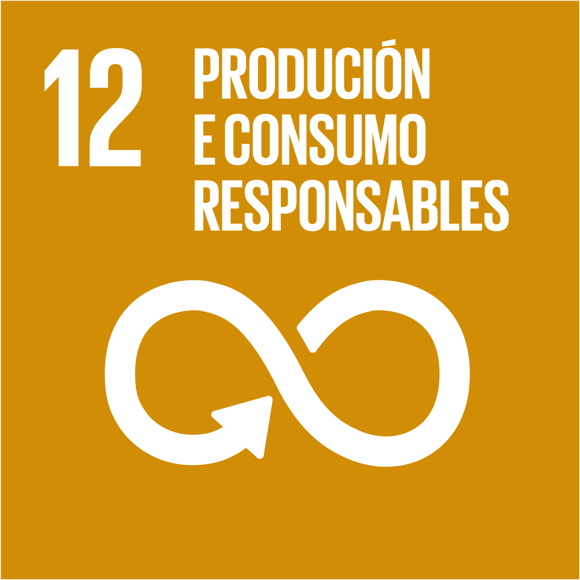12. Produción e Consumo Responsables